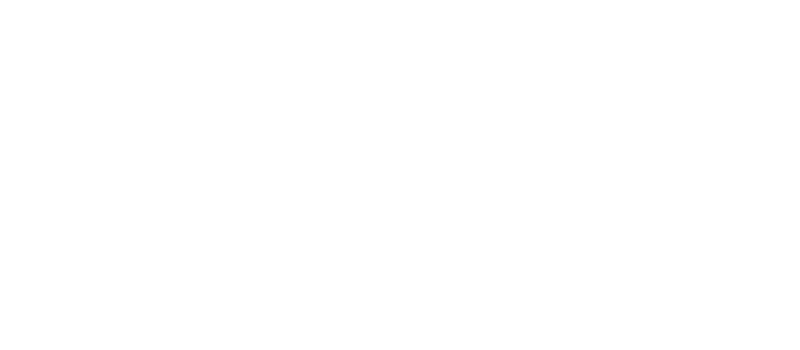Zyneric Digital Agency